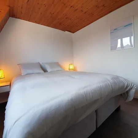 Charmante Vakantiewoning Nabij Strand En Plopsaland De Panne
